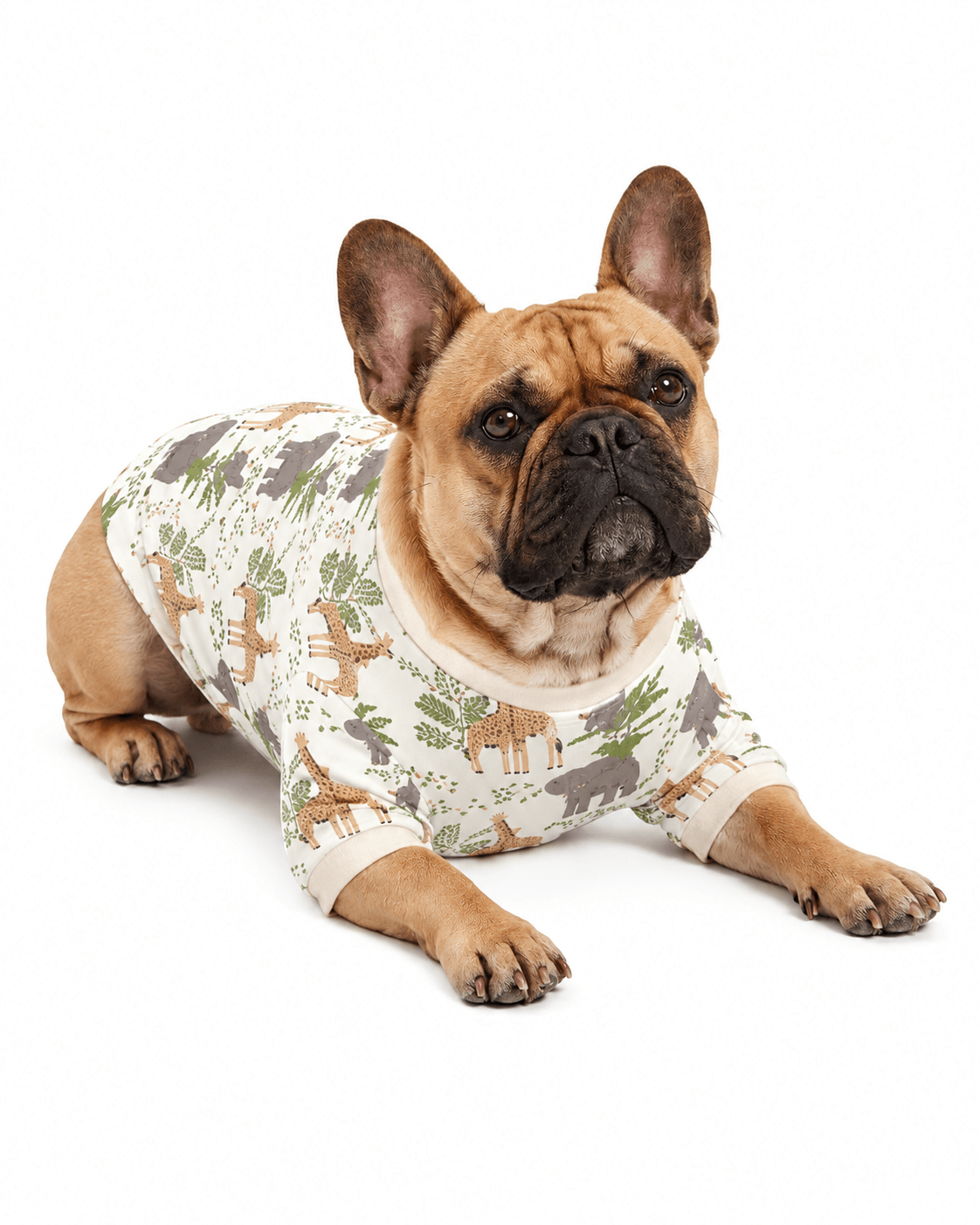 Dog wearing matching nature print pet pajama outfit