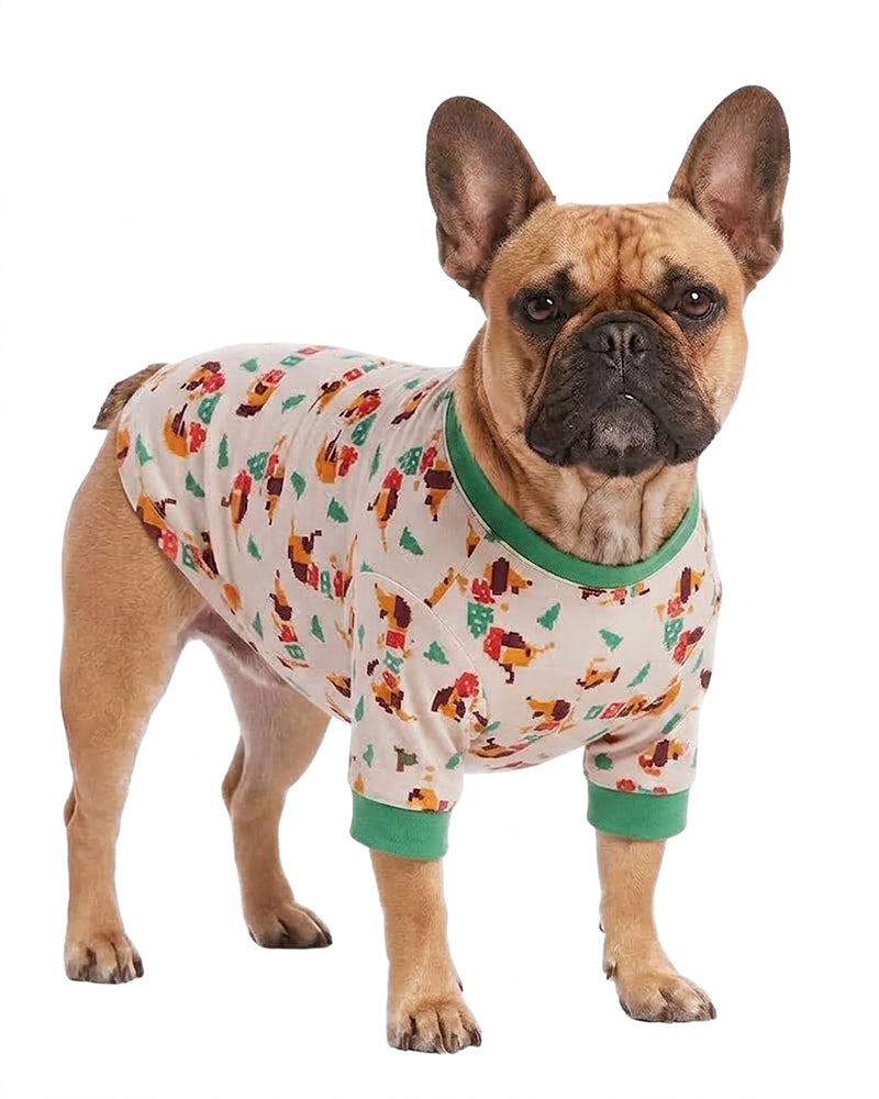 Dog wearing matching cartoon print pet pajama outfit