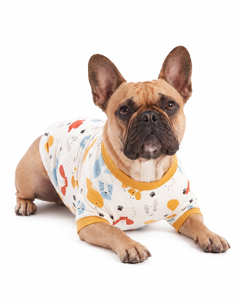 Dog wearing matching animal print pet pajama outfit