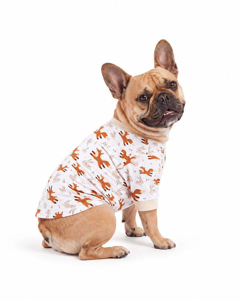 Custom dog pajamas matching women's sleepwear set